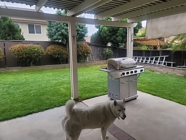 Foto del edificio - 274 Echo Canyon Pl