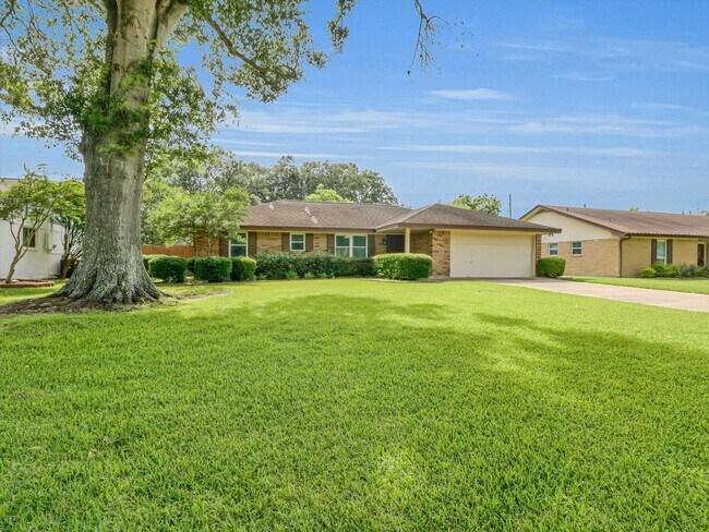 Foto del edificio - 805 Bluebonnet Ln
