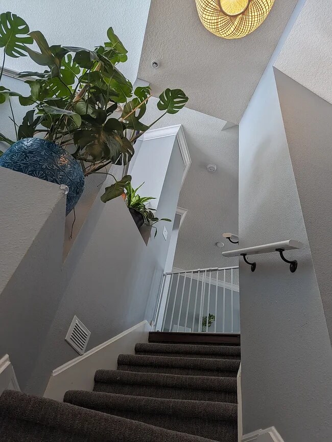 Foto del edificio - 3046 Pointeview Dr