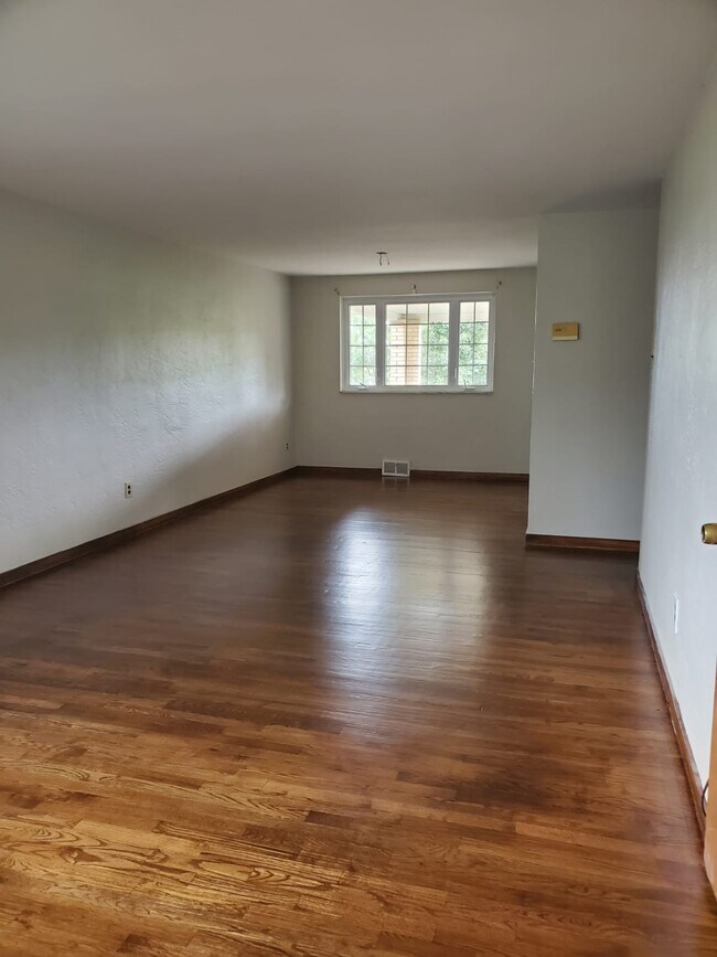 Family room - 223 Lenore Dr