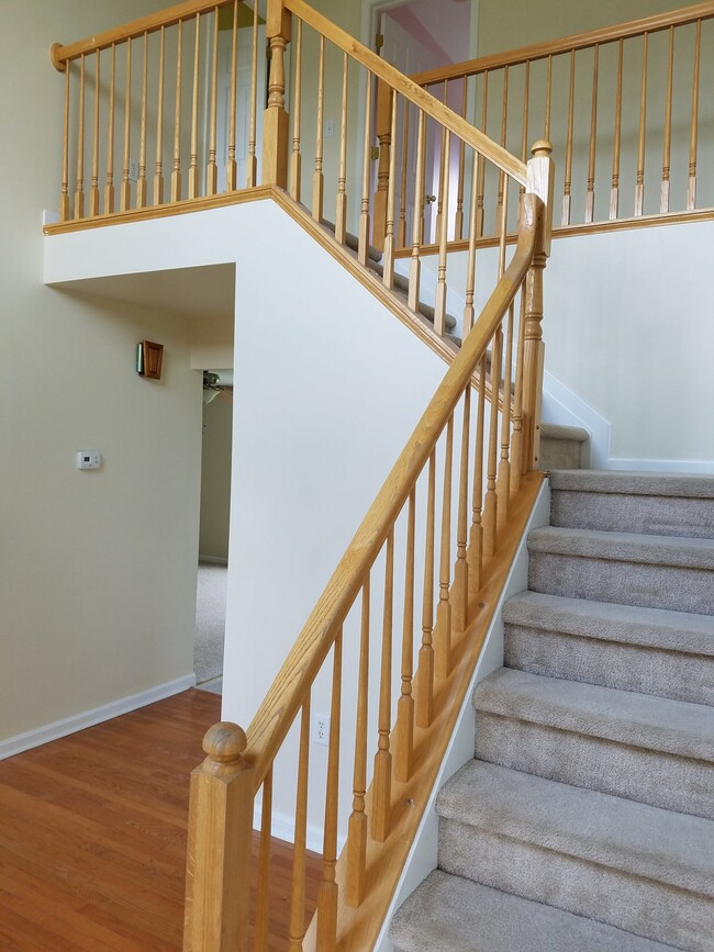 Building Photo - 254 McNeill Dr