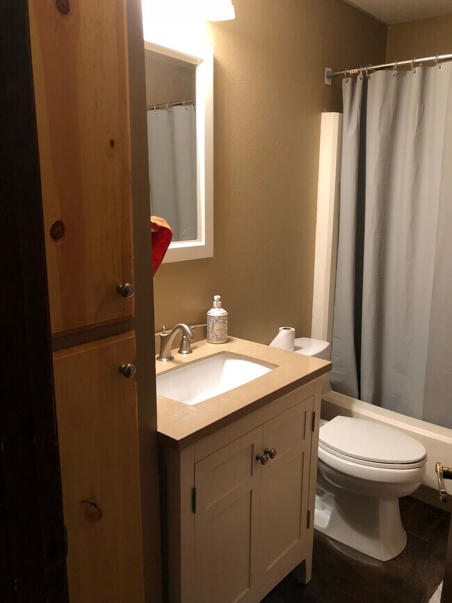 Full bath & linen storage - 919 Brooklawn Dr