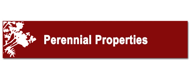 Perennial Properties Management