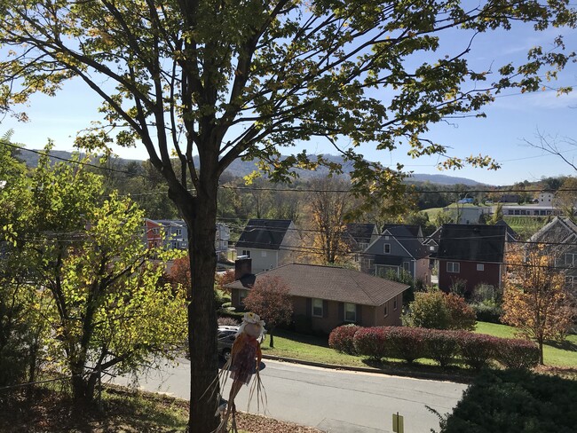 View to the South - 713 Palatine Ave
