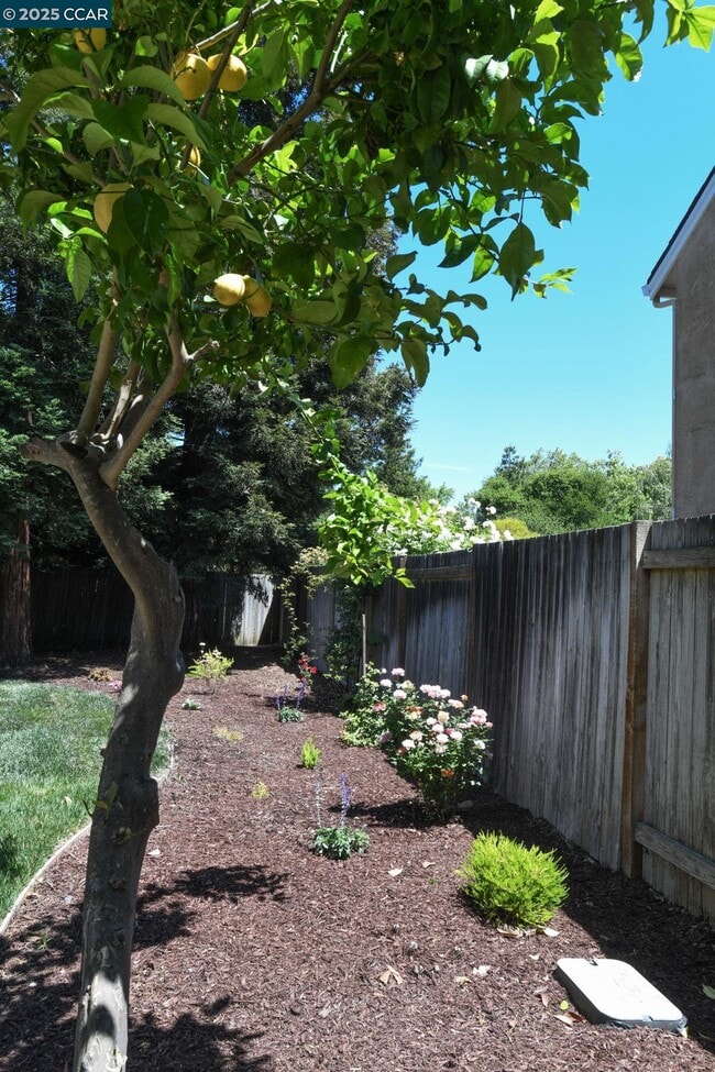 Foto del edificio - 555 Willow Ct
