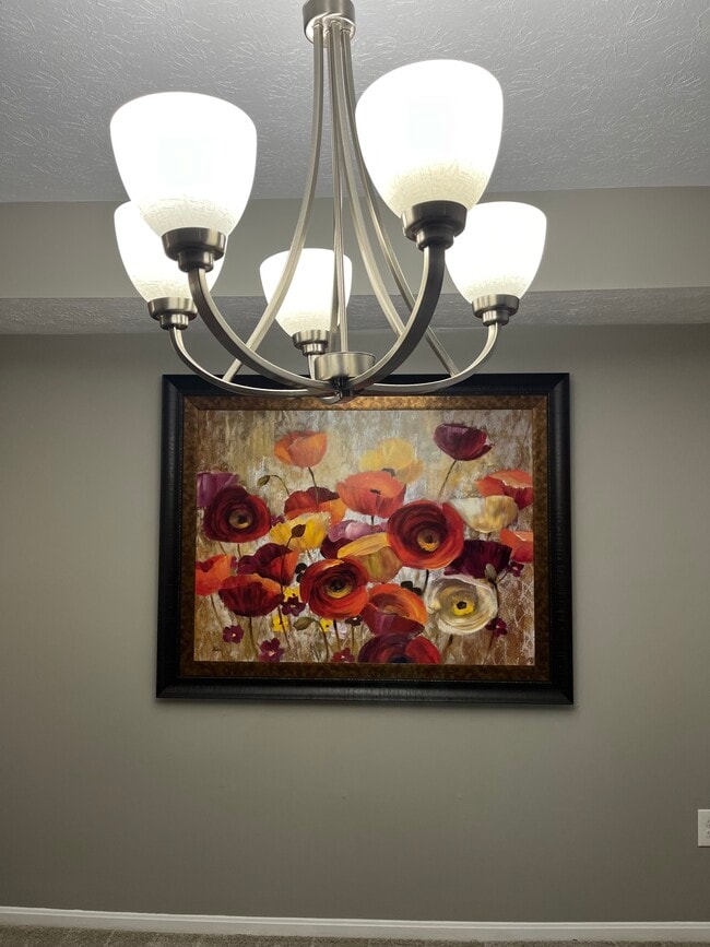 Foto del edificio - 204 Sherwood Green Ct