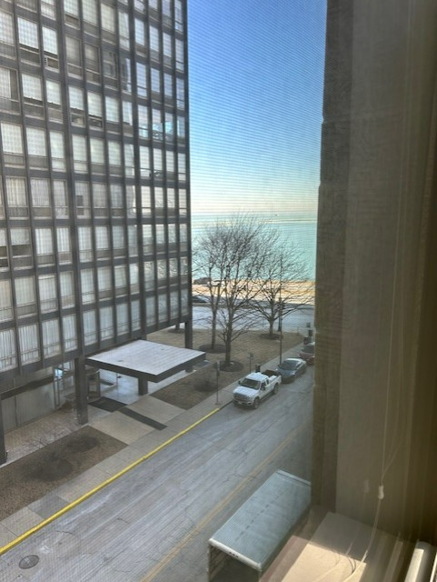 Foto del edificio - 850 N Lake Shore Dr