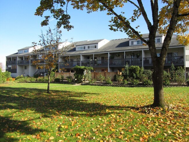 Foto del edificio - Charming & Cozy Condo