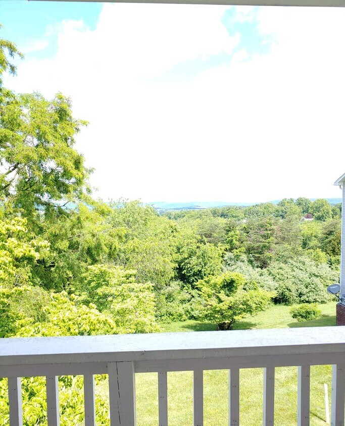 Foto principal - 3 Bedroom 2 Bath Condo