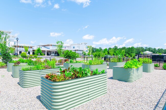 Jardín comunitario - Inspire Brunswick Forest - 55+ Active Adult Community