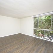 Foto del edificio - Windsor Place Apartments