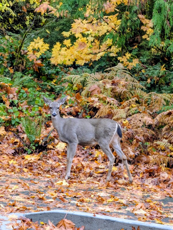Foto del edificio - 99 Sunset Pl