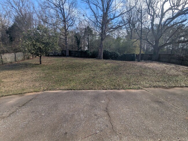 Building Photo - Spacious 4 bedroom 3.5 bath Home in Mallard Creek