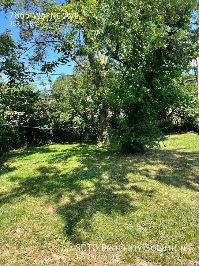 Building Photo - Cozy 3- bedroom 1 bath with a large baseme...
