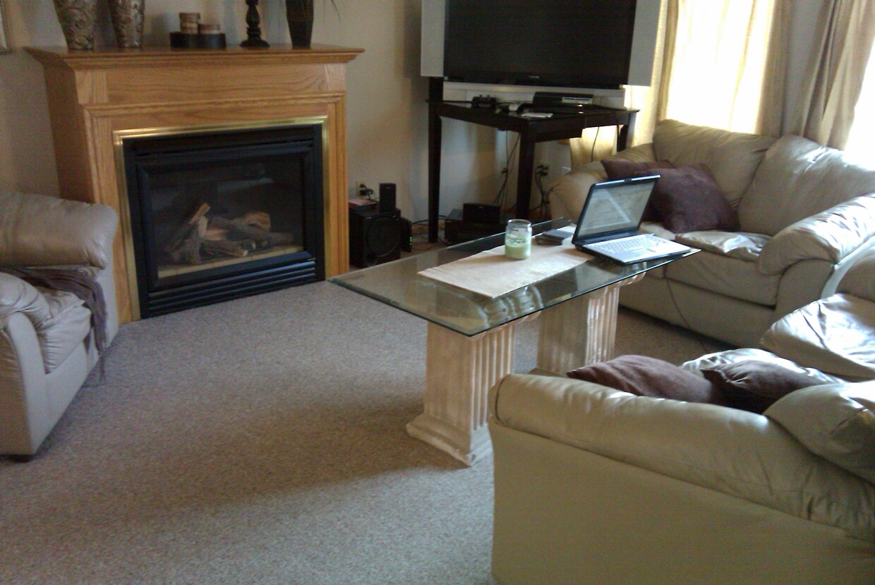 Living room-Gas Fire place - 441 N 6th St