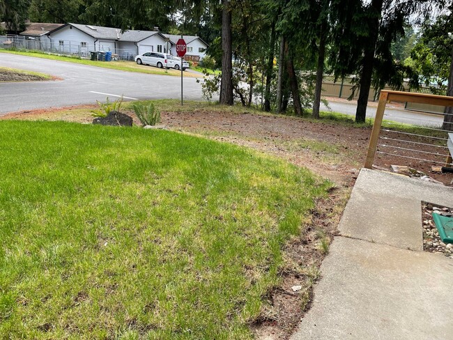 Front yard - 2305 C St
