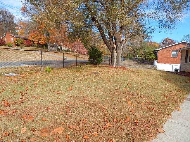 Front Yard (the fence has been removed.) - 1404 Winthorne Drive