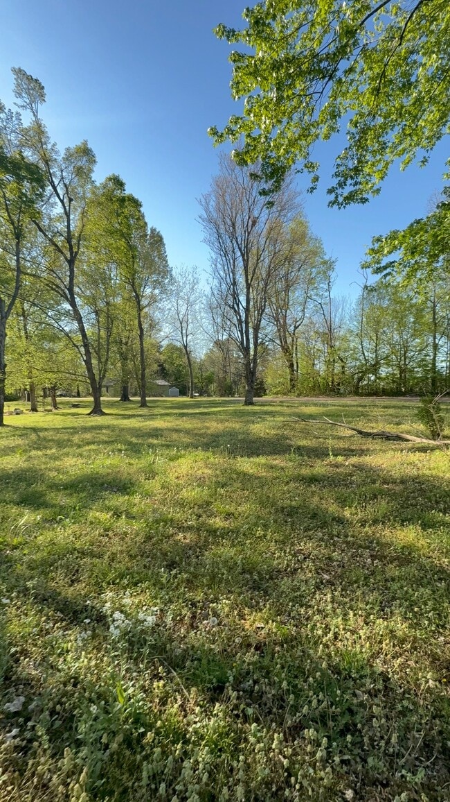 Building Photo - 50 Mattie Ann Ln