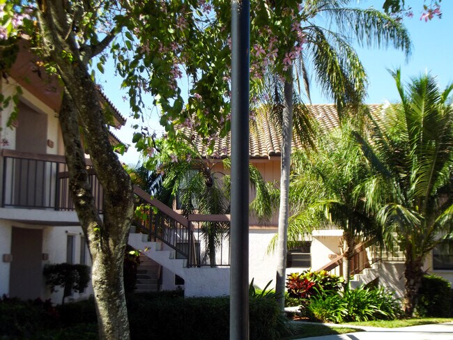 Foto del edificio - 3355 Jaywood Terrace