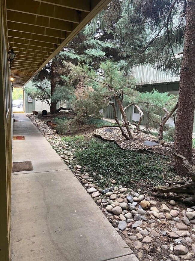 Photo - 1615 Cottonwood Dr Apartment