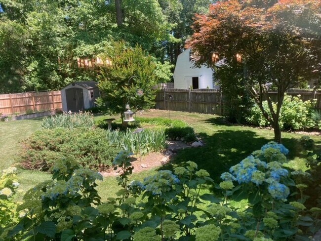 Foto del edificio - 117 Runaway Ln