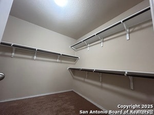 Building Photo - 2534 Live Oak Pass