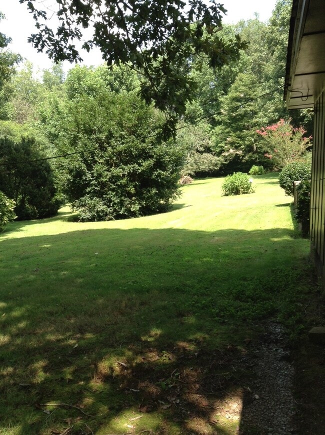Rear yard. - 2679 Highway 105