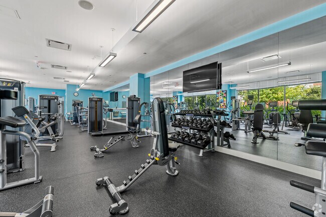 One Glover - Gimnasio - One Glover