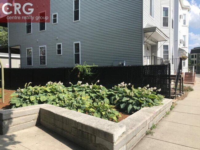 Building Photo - 4 bedroom in Cambridge MA 02139