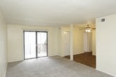 This single-floor space presents a practical and accessible layout, with all areas conveniently situated on one level. The absence of stairs or multiple floors creates a seamless flow throughout the interior, making navigation between spaces effortless and intuitive. A single-story design often lends itself well to an open, connected atmosphere, allowing for a cohesive sense of continuity from one area to the next. Natural light may filter through windows and entry points, contributing to the overall ambiance of the space. The layout supports a variety of uses, with the single-floor configuration offering flexibility in how the space can be arranged and utilized. Without the division of multiple levels, the space maintains a unified character throughout, making it straightforward to adapt to different needs. While specific details on individual rooms, precise dimensions, and exact location remain unavailable, the fundamental characteristic of this space — its single-story design — provides a solid foundation for understanding its general layout, accessibility, and potential for functional, comfortable everyday use.