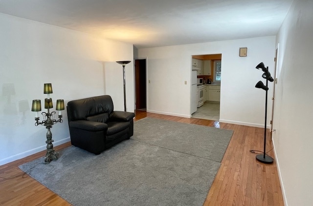 Living room - 56 Wakelee Ave