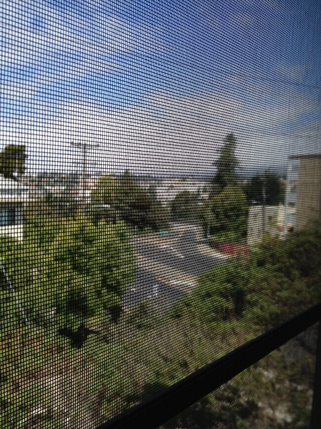 View from bedroom - 696 Athol Ave