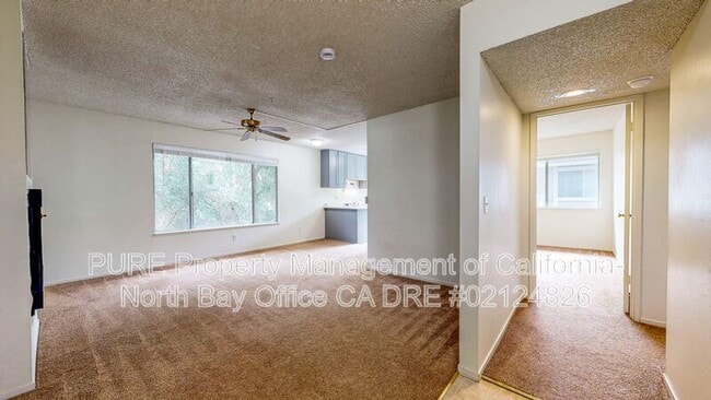 Building Photo - 1017 Civic Center Dr