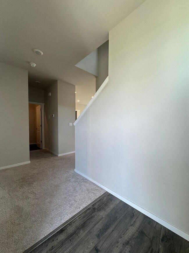 Building Photo - HUGE NEW PET FRIENDLY