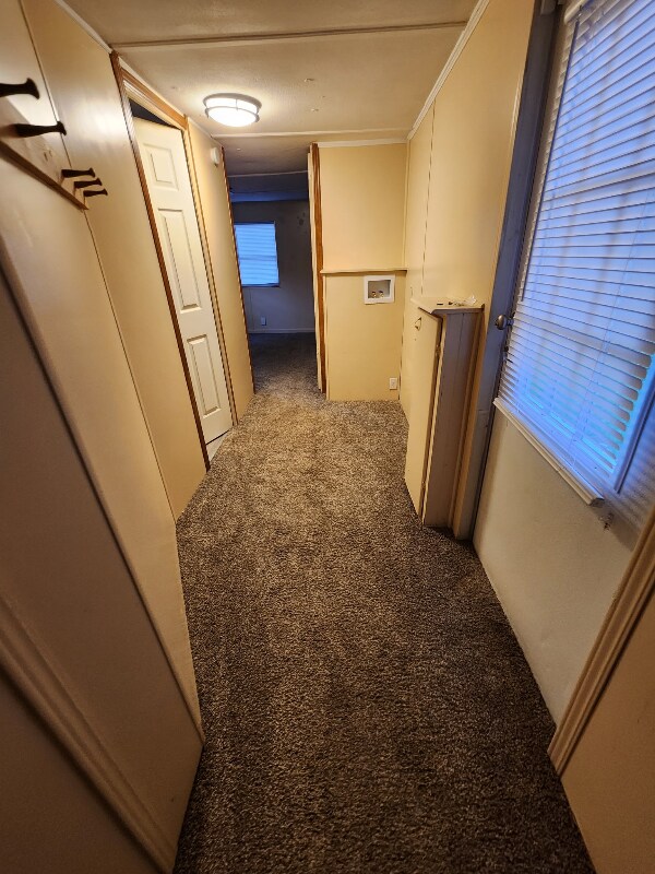 Foto del edificio - 10542 Lynnwood Ave