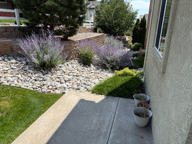 Building Photo - 7416 Falconer View