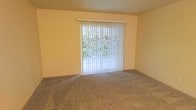 This single-story space features a straightforward, functional design with a calm, neutral aesthetic. The main living area is finished with wall-to-wall carpet in a neutral beige tone, providing a comfortable and quiet underfoot feel that adds warmth to the room. The walls are painted in a soft, muted yellow, contributing to an understated and welcoming ambiance throughout.

A prominent sliding glass door serves as a focal point of the room, fitted with vertical blinds that allow for adjustable light control and privacy. The door frames a view of lush greenery outside, bringing a connection to the outdoors and allowing natural light to filter into the interior. This feature enhances the overall brightness of the space even when the blinds are partially closed.

The layout appears open and unobstructed, offering flexible options for furniture arrangement. The clean lines of the space, combined with the neutral color palette, create a versatile environment suited to a variety of interior styles. Overall, the space presents a practical and livable setting with easy access to an outdoor area.