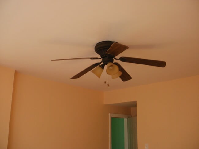 celling fan - 1706 N Mayfield Ave
