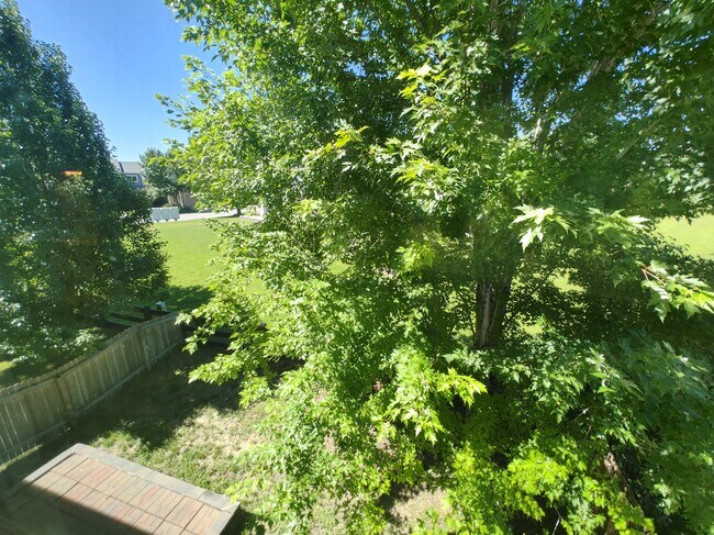 Foto del edificio - 11109 Josephine Way