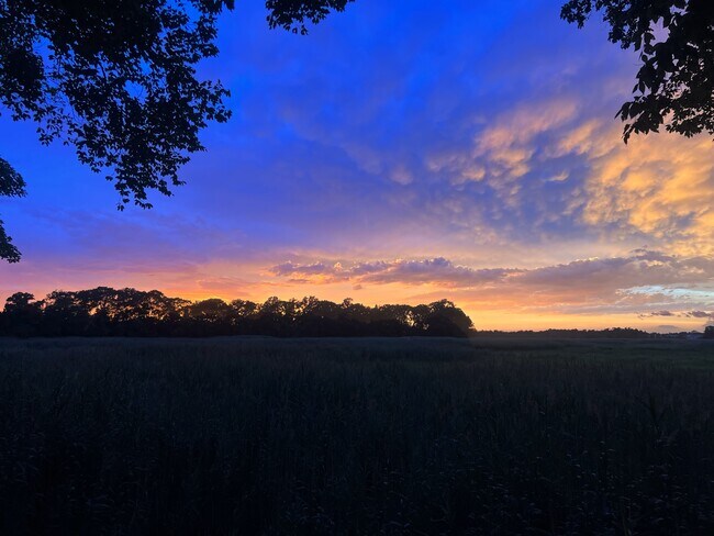 Building Photo - 43 Sedge Wren Way