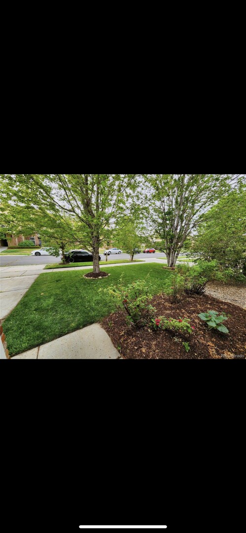 Building Photo - AVAILABLE NOW!! Gorgeous Single Family Home