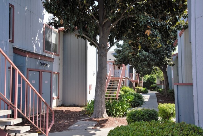 Building Photo - 88 Rancho Dr
