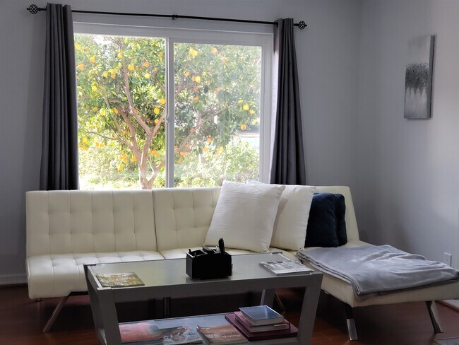 Living window and orange tree in front - 755 E Homestead Rd
