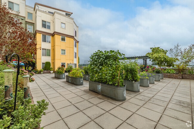 Jardineras P-Patch - New Haven Senior Living Apartments