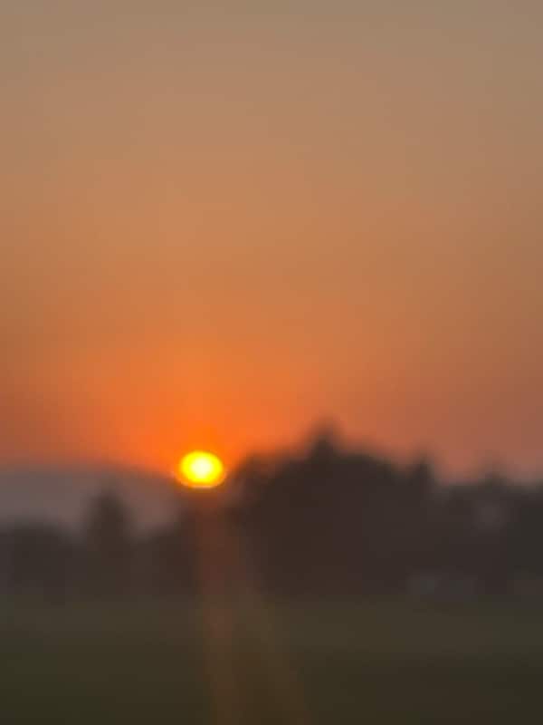 Building Photo - 9454 California Oak Cir