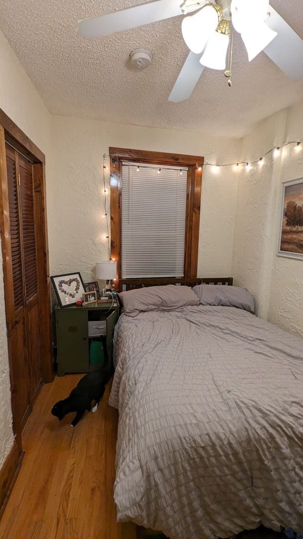 Building Photo - HALF FEE ONLY!  GRAD-Student Friendly Apt ...