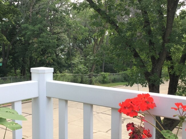 Front porch and view from it, a nature lover's view - 1302 N 58th St