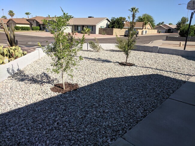 Front Yard - 2 Elms and 1" Granite rock (Grey) - 14101 N 78th Dr