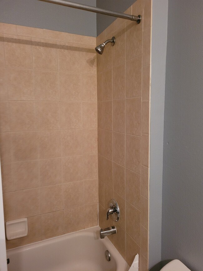 Bathroom-1 upstairs - 716 Fortanini Cir