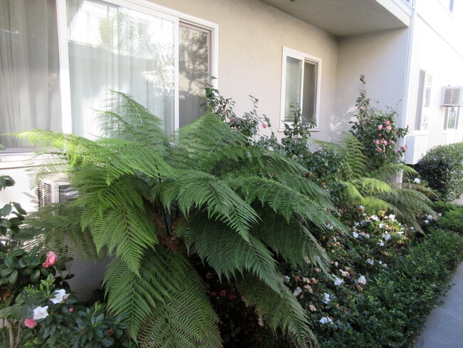 Building Photo - 320 S Doheny Dr